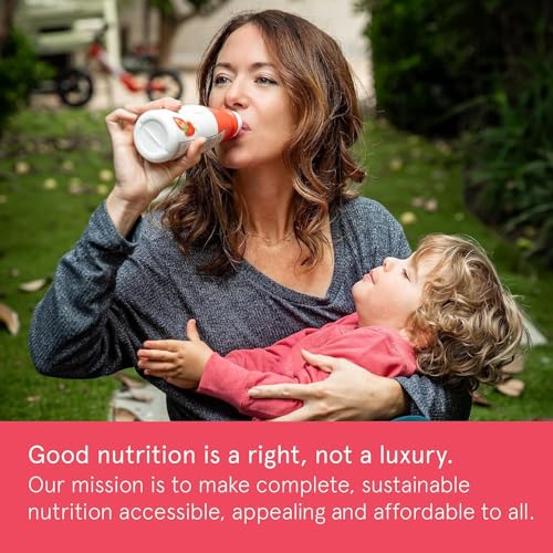 Gingerbread Meal Replacement Shake, Plant Based Protein Drink, 11oz (12 Pack) B2352