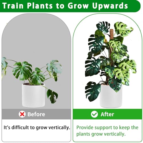 Moss Pole 2 Pack 17 Inch Plant Support for Climbing Indoor Potted Plants E893
