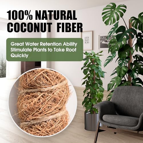 2 Pack 63 Inch Bendable Moss Pole for Climbing Plants B44433