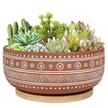 8 Inch Terracotta Succulent Planter Pot with Drainage Hole and Bamboo Tray, Round Shallow Bonsai Pot for Indoor Plants