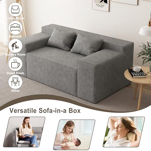 Small Sofa Loveseat with 2 Pillows, Cat-Scratch Resistant Linen, Grey K916760