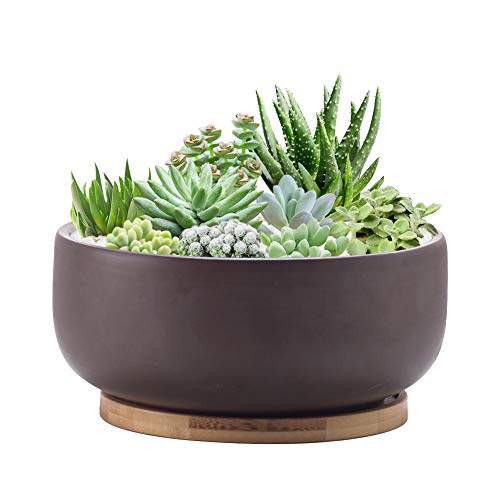 Terracotta Shallow Succulent Planter, 8 Inch Planter Pot with Bamboo Tray, Clay Flower Pot Indoor and Outdoor Planter with Drainage Hole, Brown…