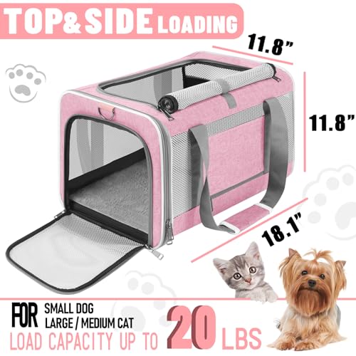 Soft Sided Pet Carrier for Large Cats and Small Dogs R89313