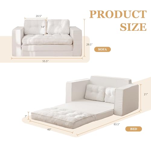 Loveseat Sleeper Sofa Convertible Sofa Bed Couch with Reclining Backrest and Pillows A86014