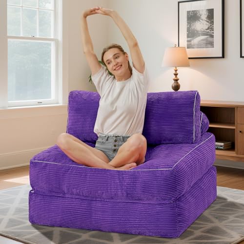 Folding Sofa Bed with Dual Pillow and Handle, Convertible Sleeper Chair, Black M821