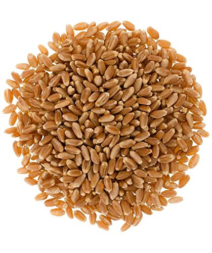 Hard Red Spring Wheat Berries, 25 lbs, Non-GMO, Kosher L4710