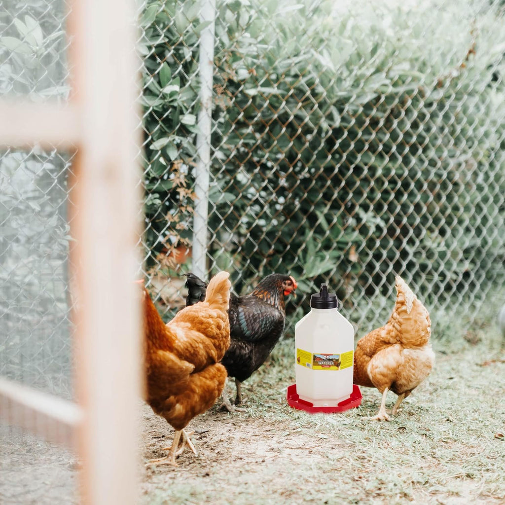 7 Gallon Hanging Automatic Poultry Waterer for Chickens and Game Birds, Red X4486