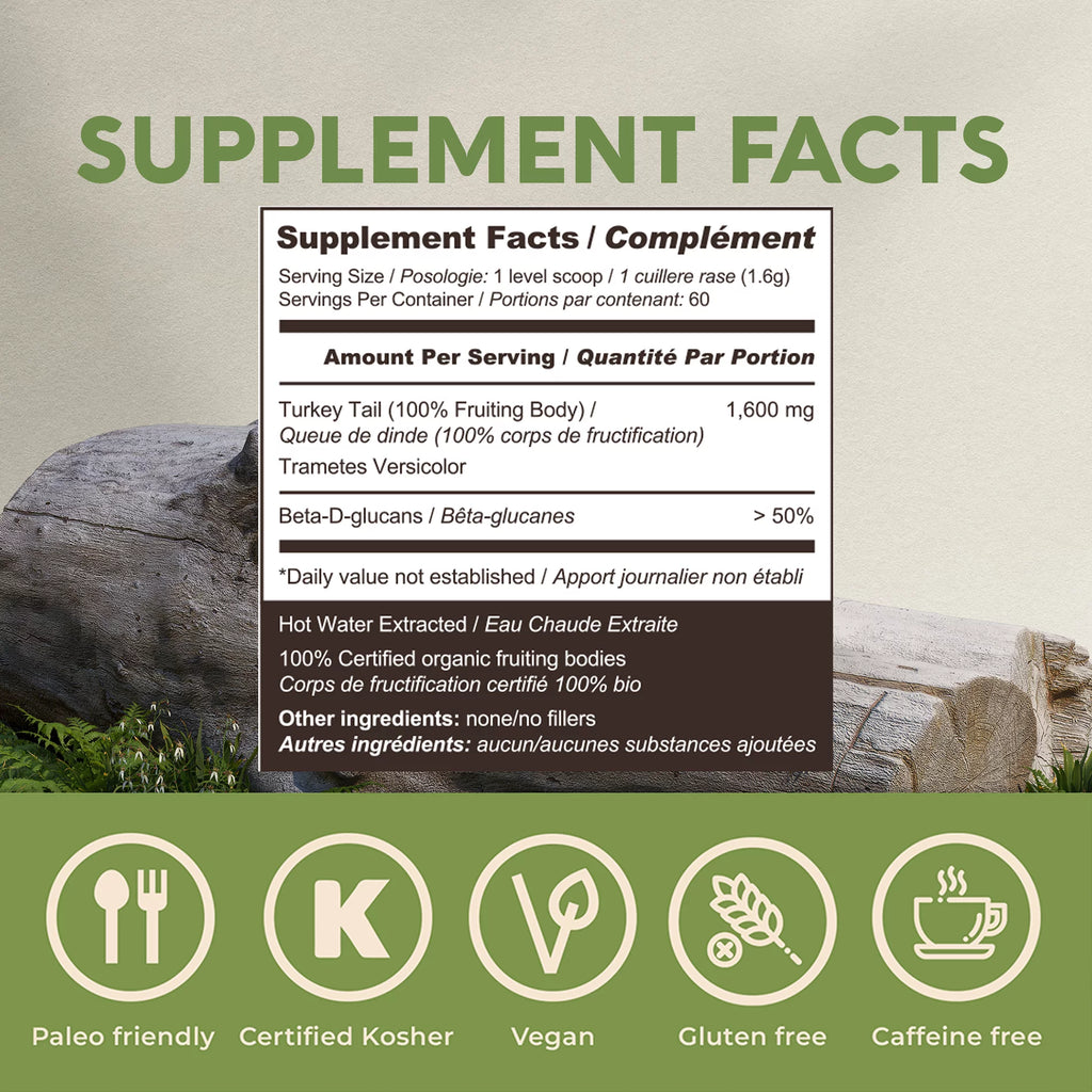 Organic Turkey Tail Mushroom Supplement Powder L73013