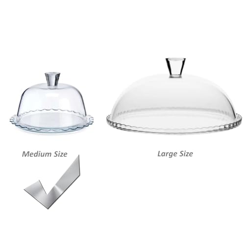 Glass Cake Stand with Dome, 10 Inch Serving Platter E2997