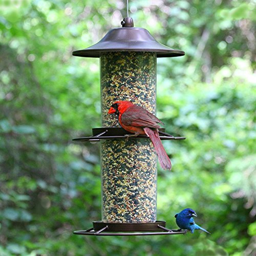 Panorama Bird Feeder R1385
