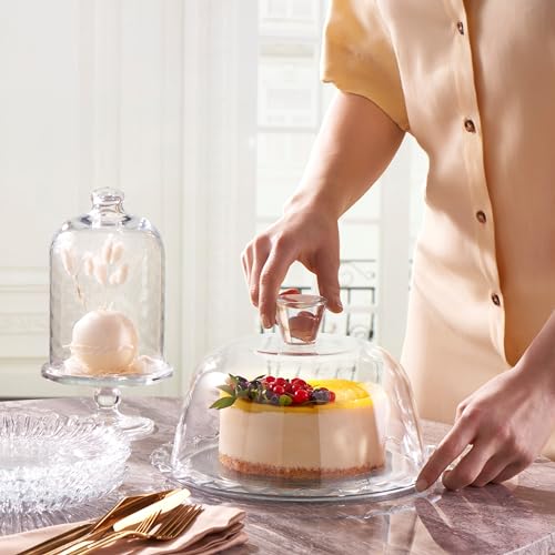 Glass Cake Stand with Dome, 10 Inch Serving Platter E2997