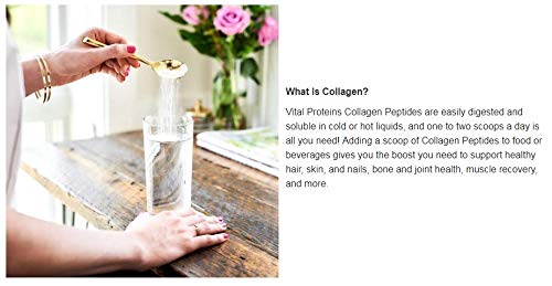 Collagen Peptides Powder, Grass Fed, Gluten Free - 24 Ounce D628