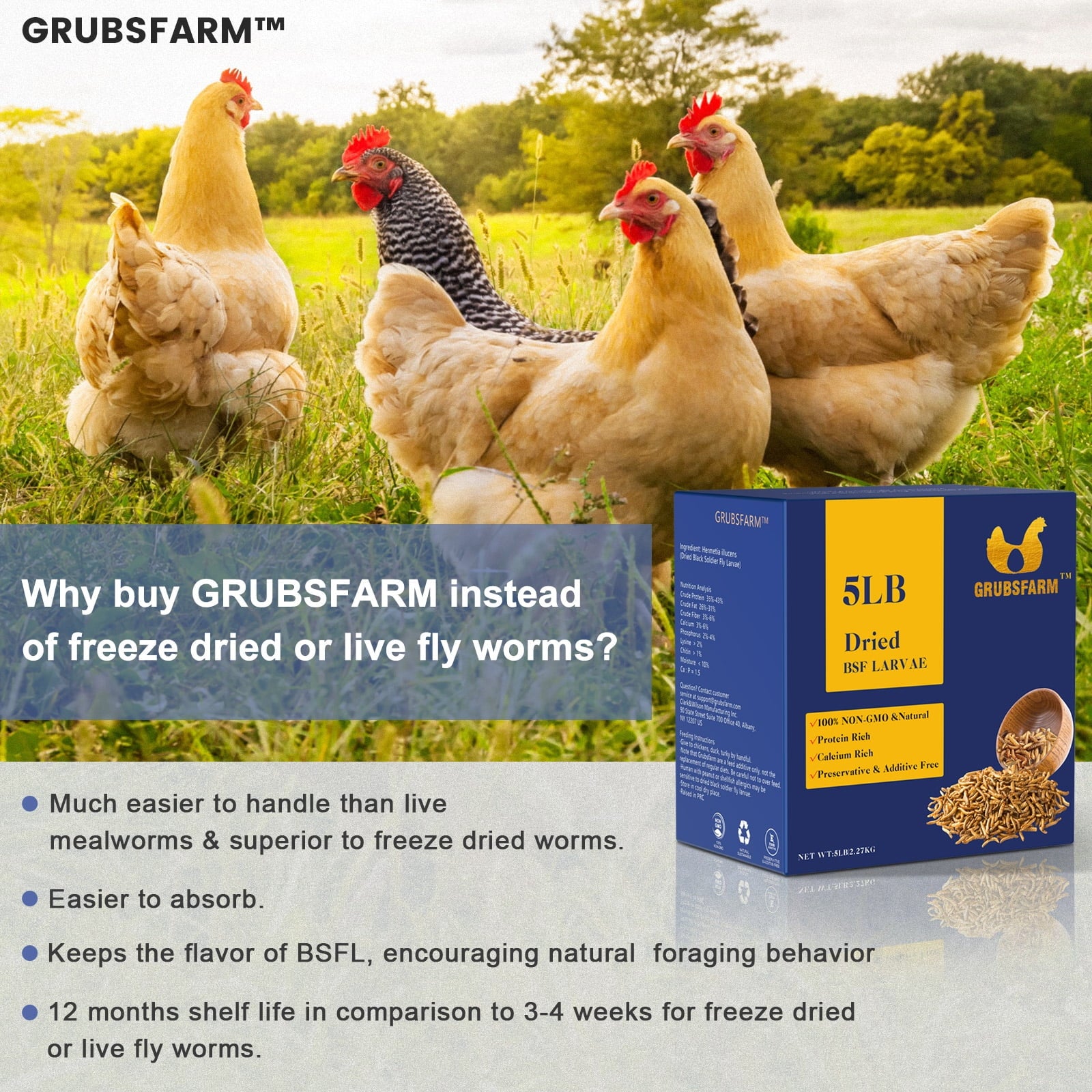 Chicken Treats for Hens, Ducks & Wild Birds, 5 lbs S22475
