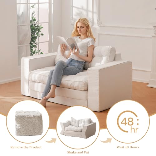 Loveseat Sleeper Sofa Convertible Sofa Bed Couch with Reclining Backrest and Pillows A86014
