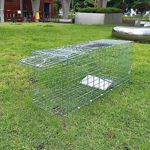 Collapsible 2-Door Live Animal Cage Trap for Small Rodents, Rabbits, Squirrels, and Raccoons J3445