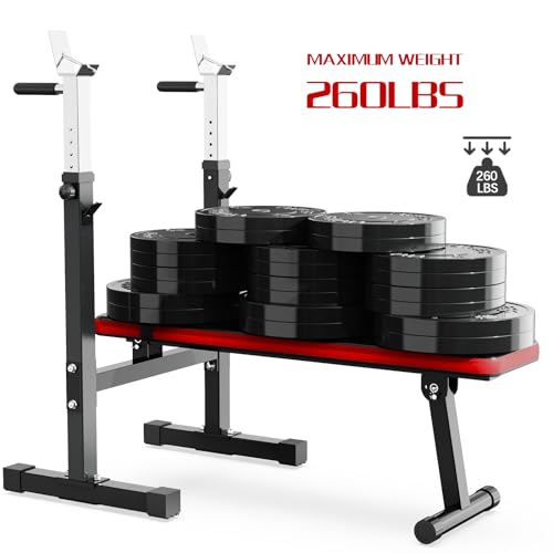 Adjustable Weight Bench with Squat Rack Folding Dip Station S5592