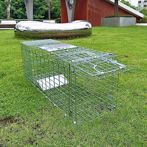 Collapsible 2-Door Live Animal Cage Trap for Small Rodents, Rabbits, Squirrels, and Raccoons J3445