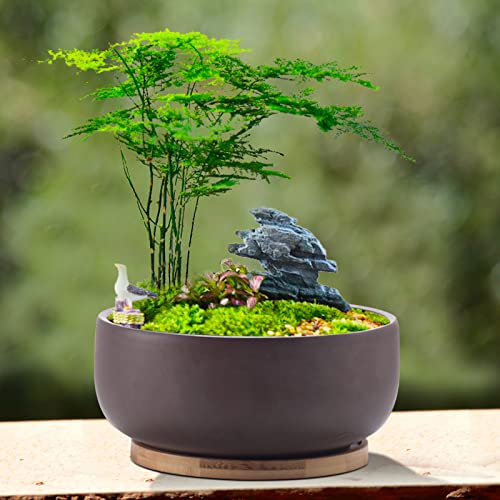 Terracotta Succulent Planter with Bamboo Tray, 8 Inch, Drainage Hole E726431