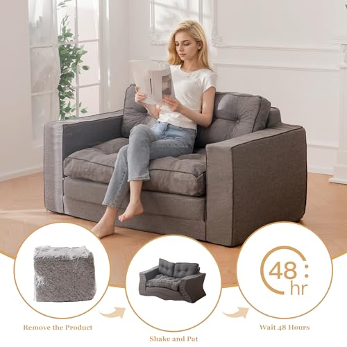 Loveseat Sleeper Sofa Convertible Sofa Bed Couch with Reclining Backrest and Pillows A86014