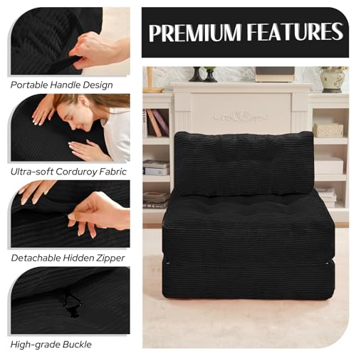 Folding Sofa Bed with Dual Pillow and Handle, Convertible Sleeper Chair, Black M821
