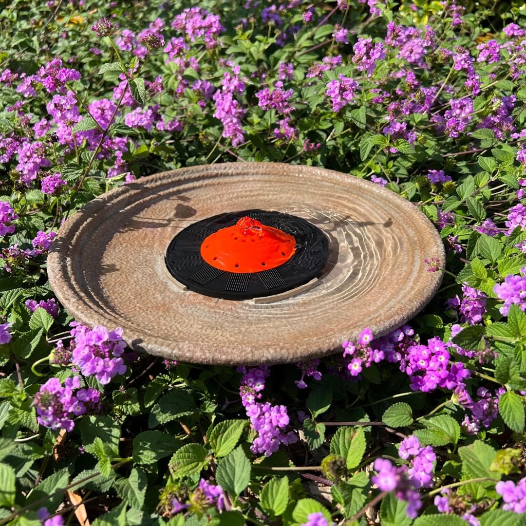 Solar Bubbler Fountain for Hummingbirds, Bird Bath, Red Dome for Garden V623