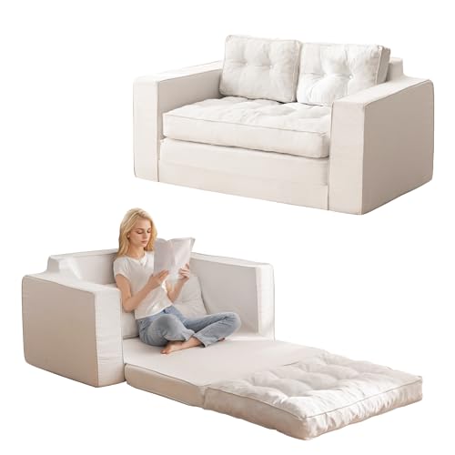 Loveseat Sleeper Sofa Convertible Sofa Bed Couch with Reclining Backrest and Pillows A86014