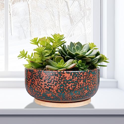 Terracotta Planter with Drainage Hole and Bamboo Saucer E8585