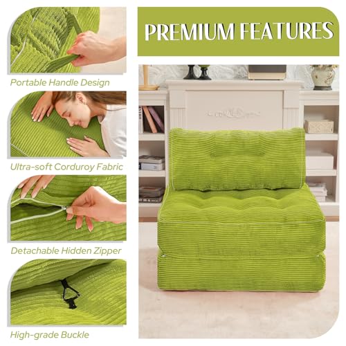 Folding Sofa Bed with Dual Pillow and Handle, Convertible Sleeper Chair, Black M821