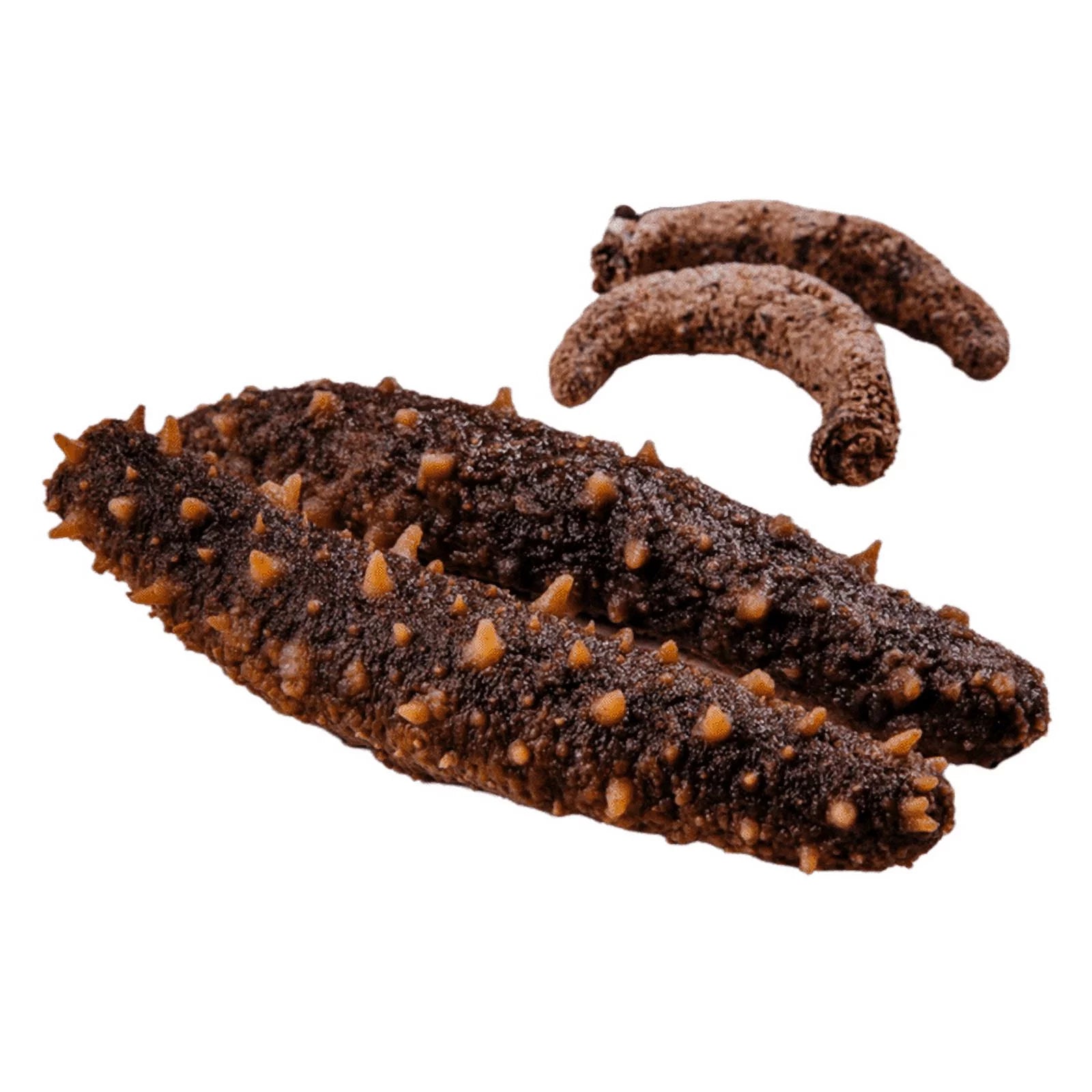 Dried Wild Caught Sea Cucumber Medium Size 4oz T84650