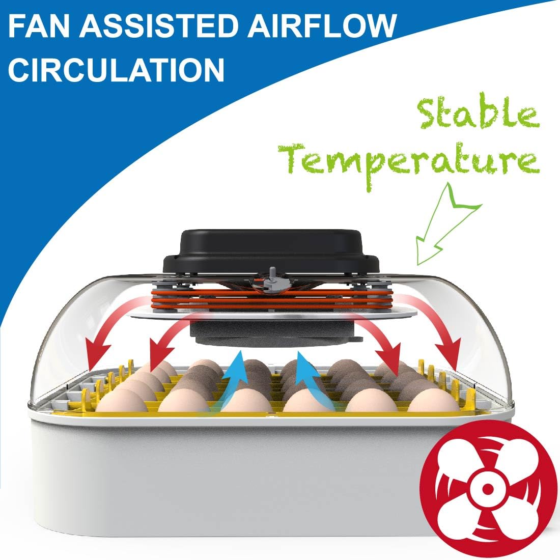 30 Egg Incubator with Humidity Display and Automatic Egg Turner D986