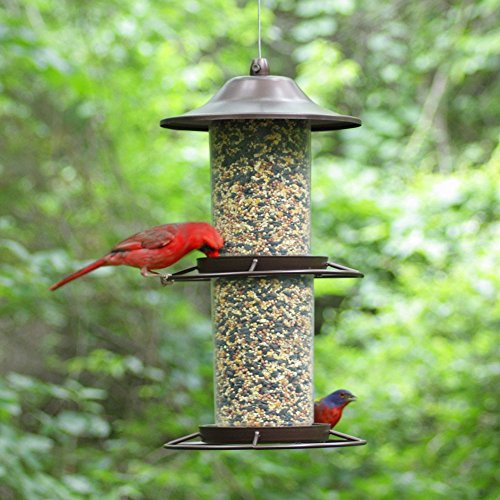 Panorama Bird Feeder R1385