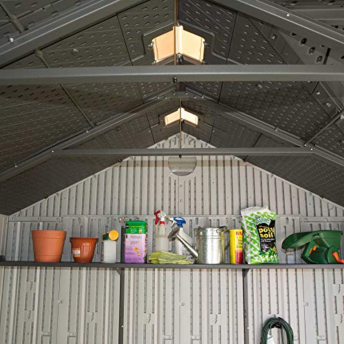 Outdoor Storage Shed 10 x 8 Ft. D7568