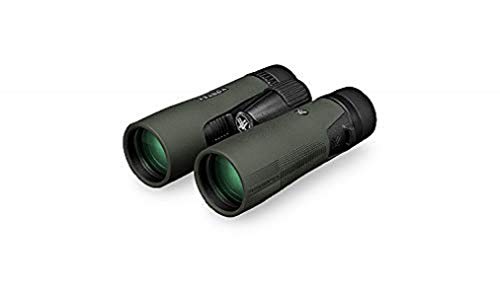 Roof Prism Binoculars 10x42 F3971