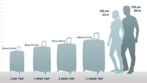 Hardside Carry-On Luggage with Spinner Wheels, 20-Inch P675023