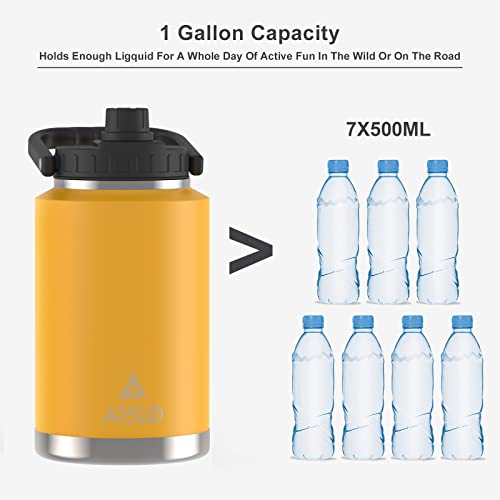 128 oz Insulated Stainless Steel Water Bottle with Handle X6315