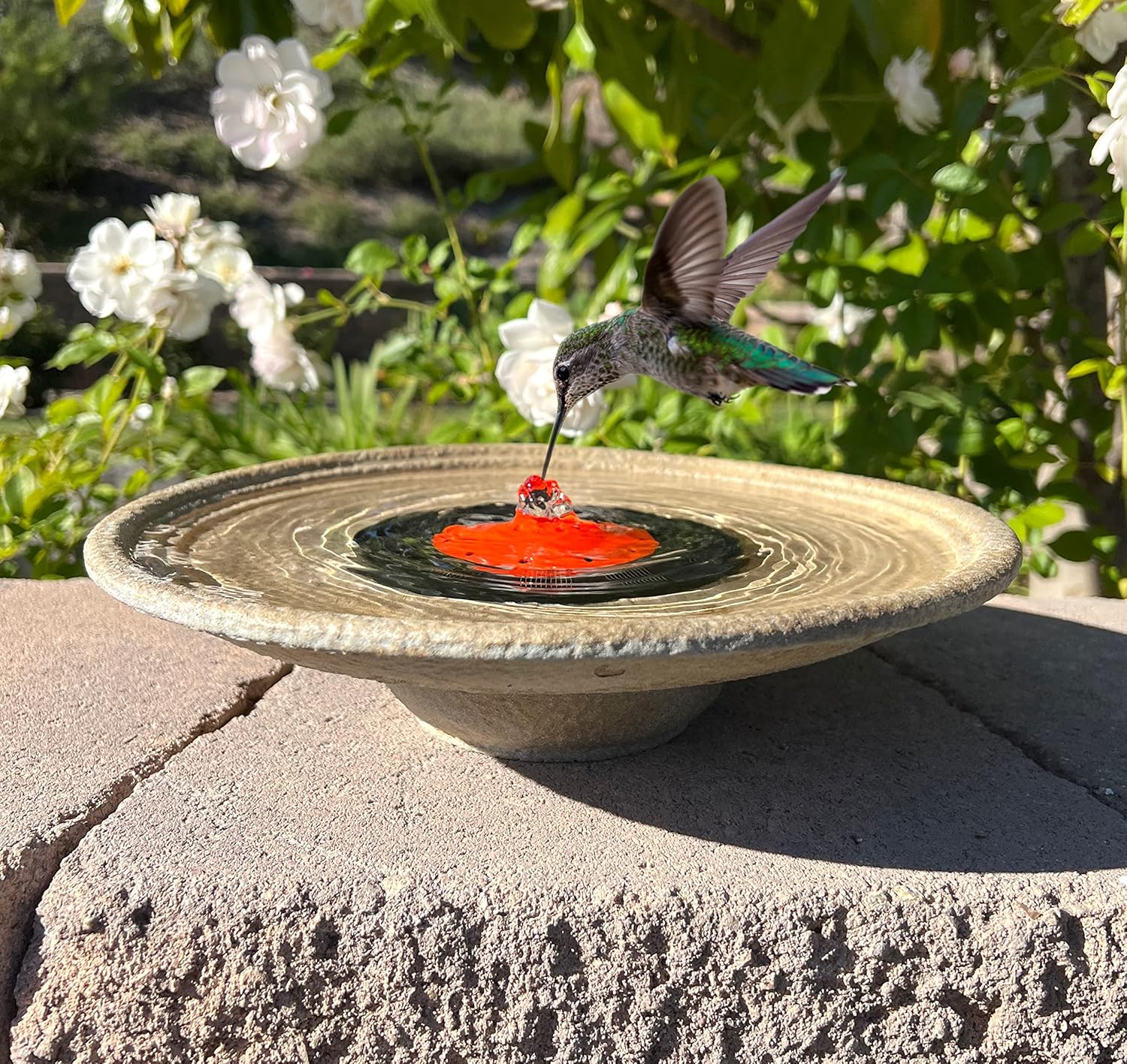 Solar Bubbler Fountain for Hummingbirds, Bird Bath, Red Dome for Garden V623