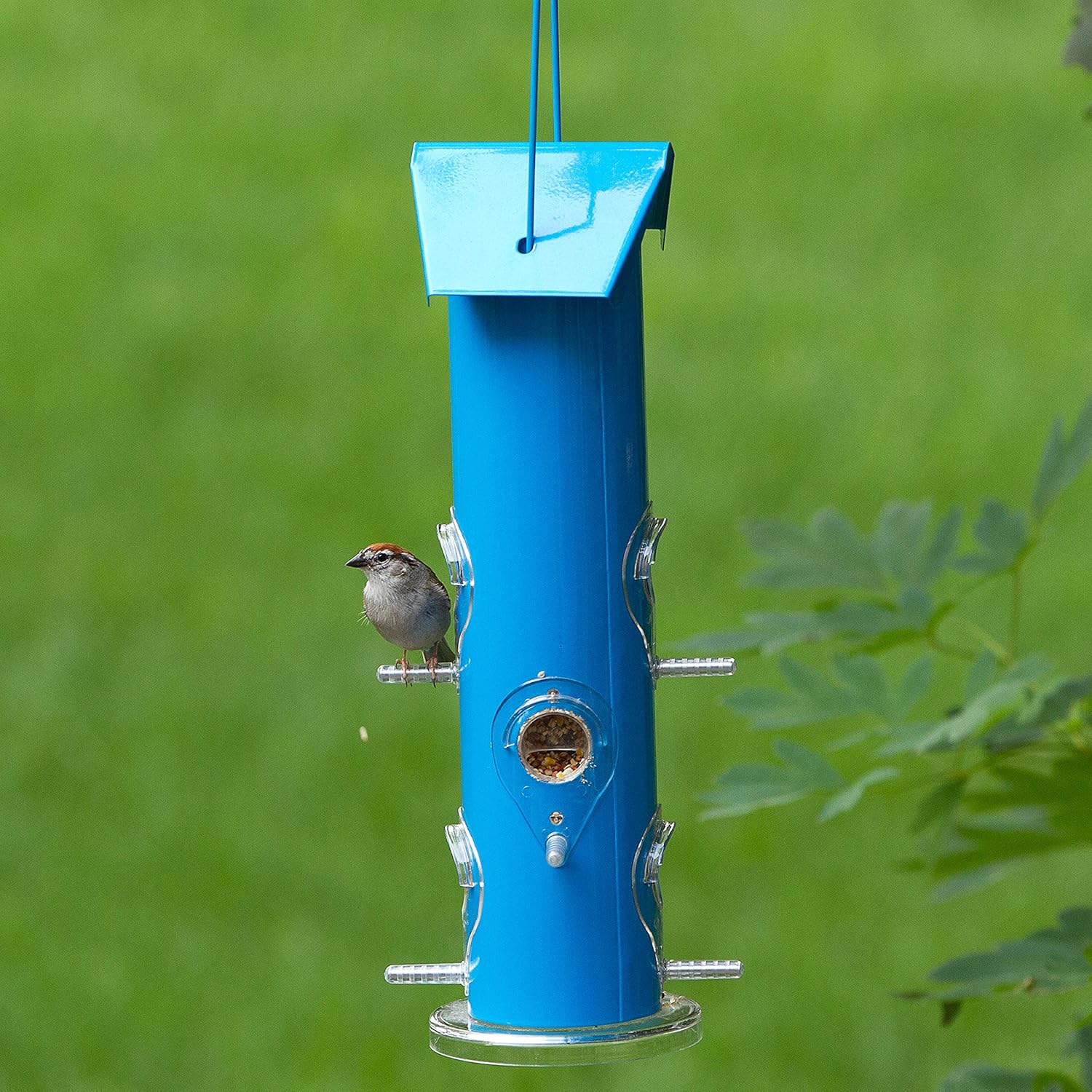 Metal Tube Wild Bird Feeder, 1 Lb, Blue W422556