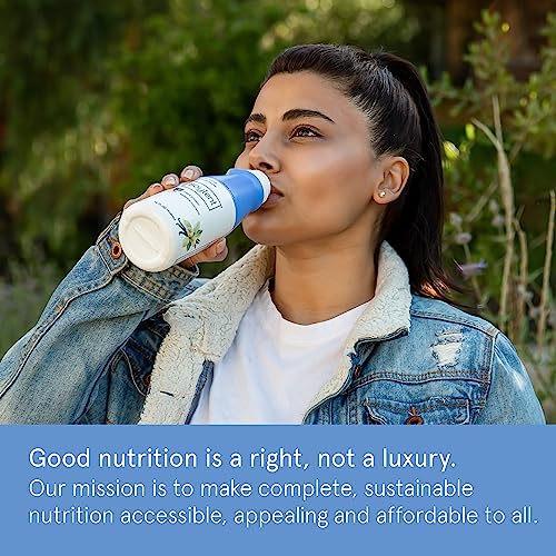 Gingerbread Meal Replacement Shake, Plant Based Protein Drink, 11oz (12 Pack) B2352