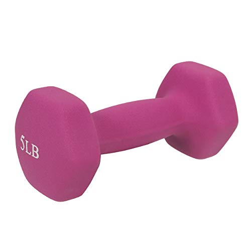 Neoprene Coated Hex Dumbbell Pair for Home Gym Workout S960005
