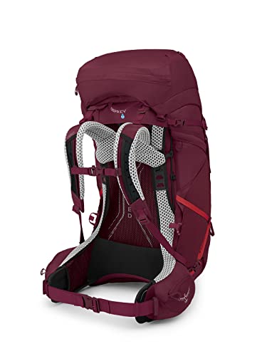 Women's 65L Backpacking Backpack, Antidote Purple R227