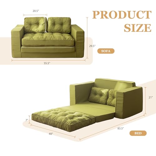 Loveseat Sleeper Sofa Convertible Sofa Bed Couch with Reclining Backrest and Pillows A86014