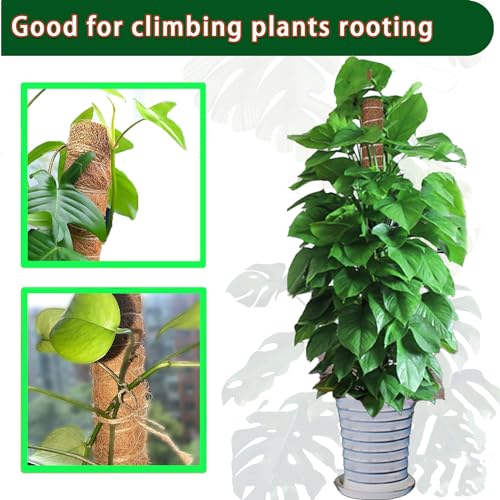 Moss Pole 2 Pack 17 Inch Plant Support for Climbing Indoor Potted Plants E893