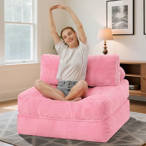 Folding Sofa Bed with Dual Pillow and Handle, Convertible Sleeper Chair, Black M821