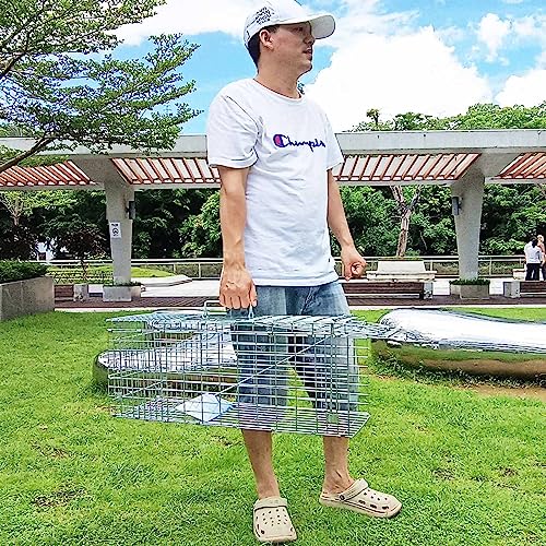 Collapsible 2-Door Live Animal Cage Trap for Small Rodents, Rabbits, Squirrels, and Raccoons J3445
