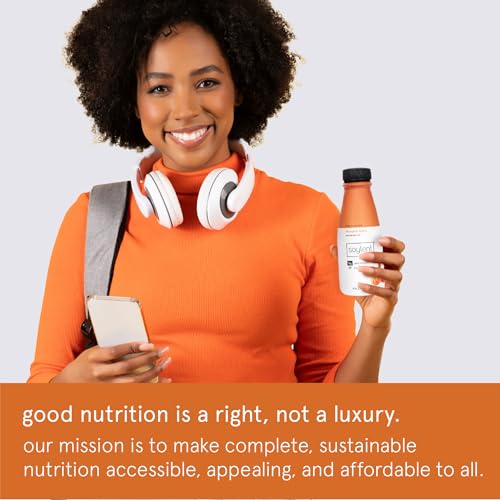 Gingerbread Meal Replacement Shake, Plant Based Protein Drink, 11oz (12 Pack) B2352