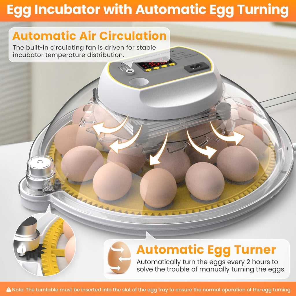 Egg Incubator with Automatic Turning and Water Adding, 18-60 Eggs C20210