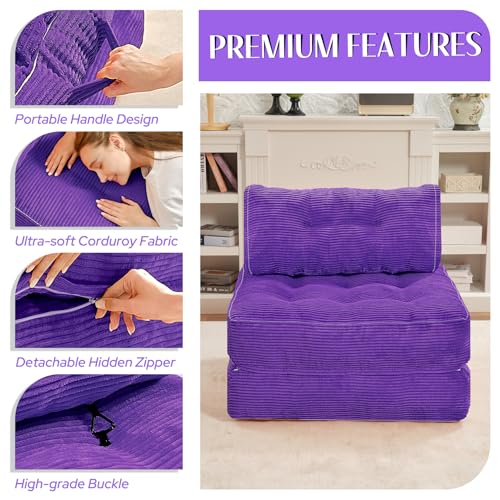 Folding Sofa Bed with Dual Pillow and Handle, Convertible Sleeper Chair, Black M821