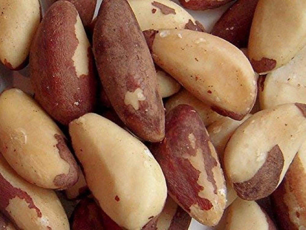 Raw Brazil Nuts H209094