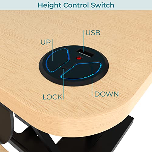 Electric Standing Desk Converter, Height Adjustable Sit to Stand Riser, Dual Monitor Workstation, Black Z74939