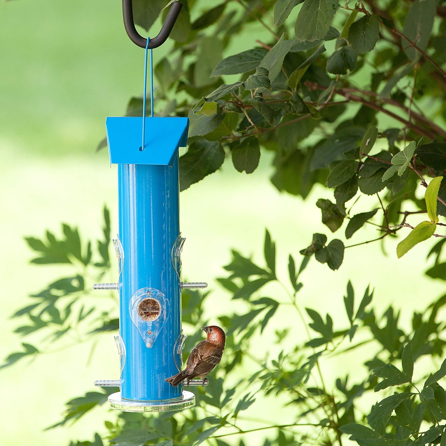 Metal Tube Wild Bird Feeder, 1 Lb, Blue W422556